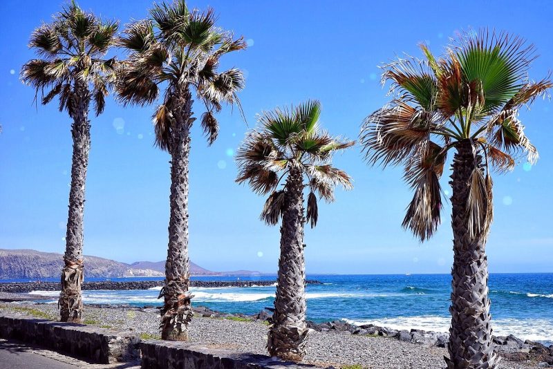 Dreaming of a life in Tenerife #BlogYourWayToSpain