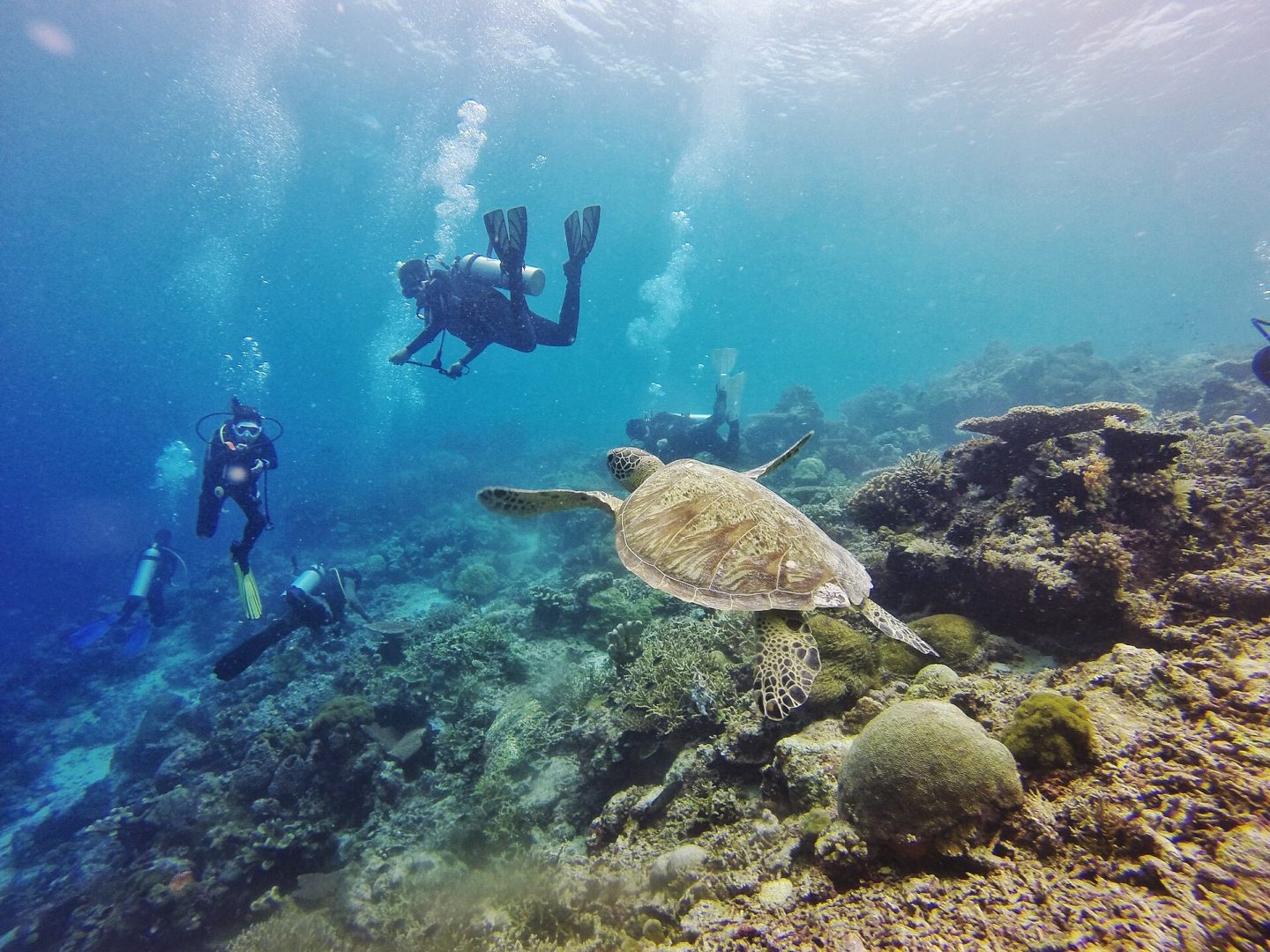 8 Things I’ve Added to My Travel Bucket List