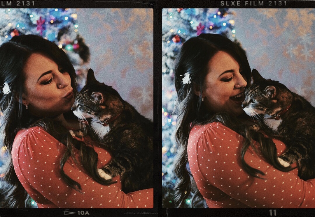 What is it that makes you merry at Christmas?